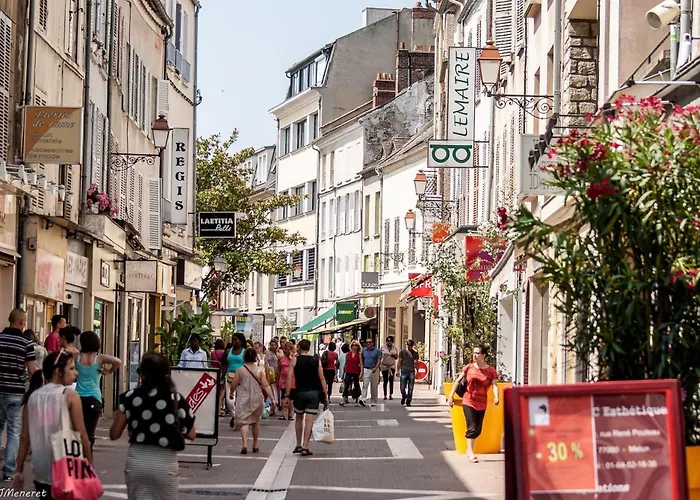 Residence Calme Au Bord De Seine A Melun Avec Jardin Terrasses Et Vue Sur La Seine