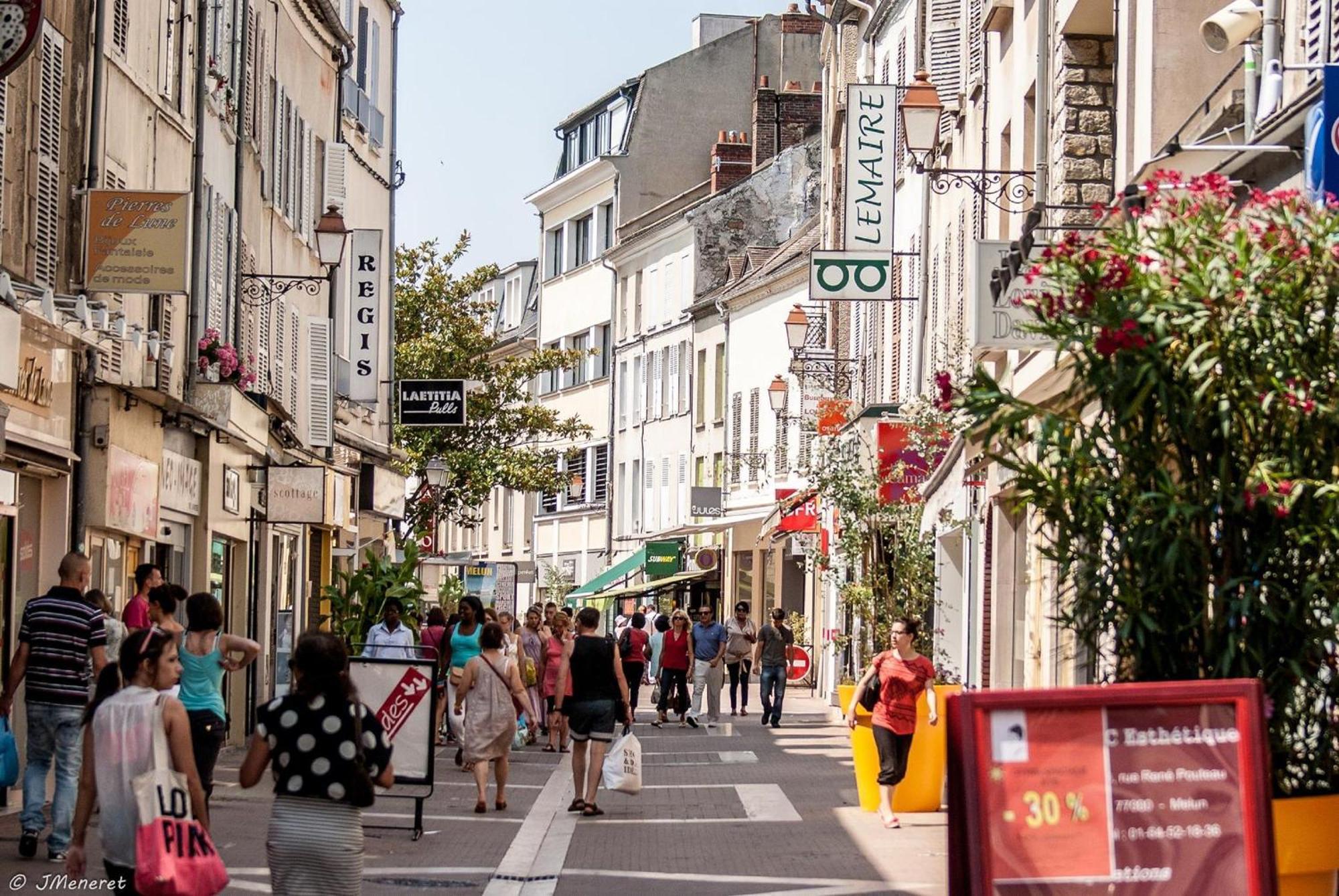 Calme Au Bord De Seine A Melun Avec Jardin Terrasses Et Vue Sur La Seine * Le Mee-sur-Seine