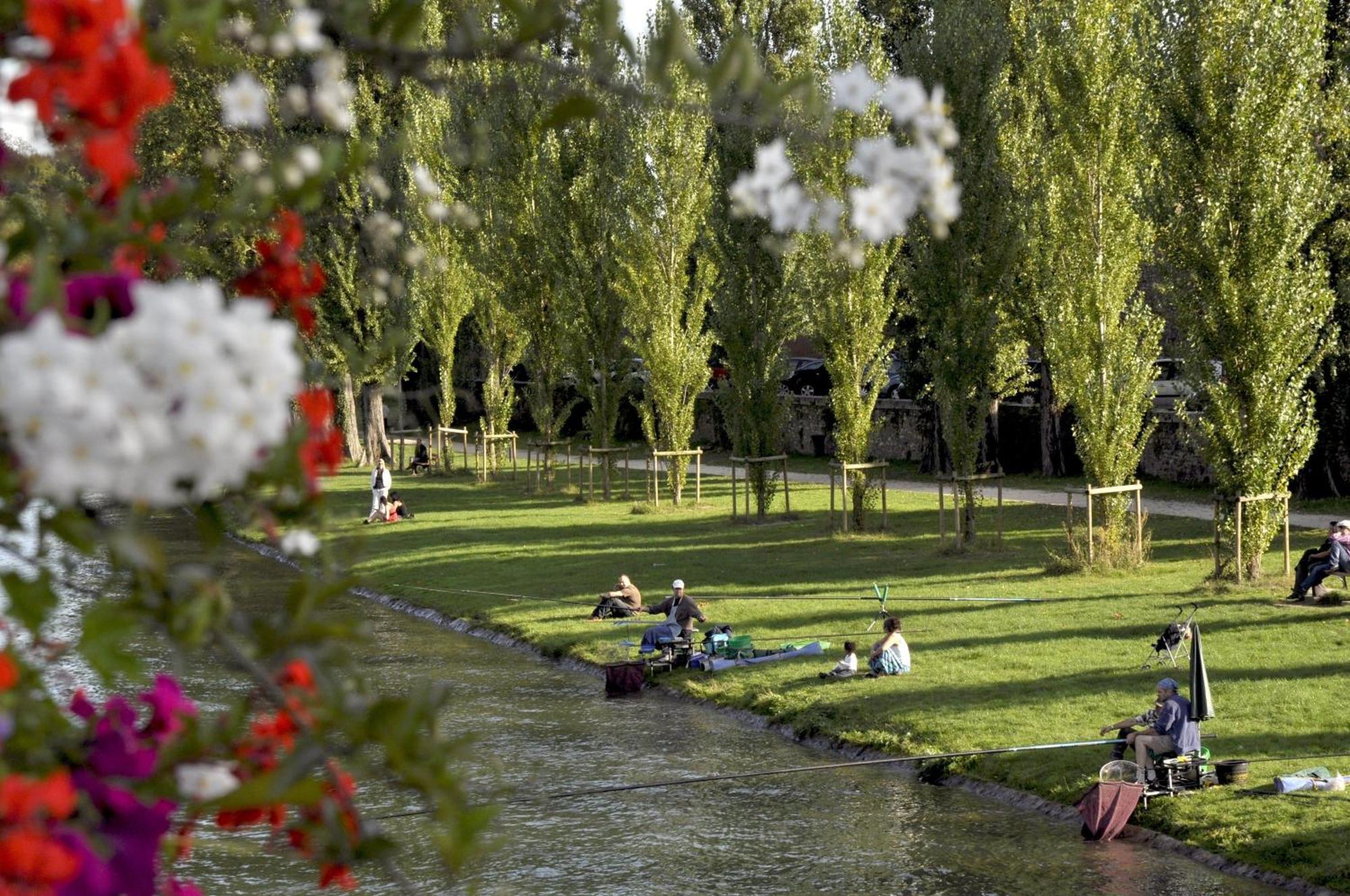 Calme Au Bord De Seine A Melun Avec Jardin Terrasses Et Vue Sur La Seine